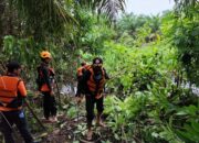 Diduga Dilarikan Buaya Sudirman Sudah Tiga Hari Terus Dicari