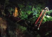 Hujan dan Angin Kencang Tumbangkan Pohon Timpa Kabel PLN