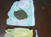 Kedapatan Bawa Ganja WS Ditangkap Resnarkoba Pasbar