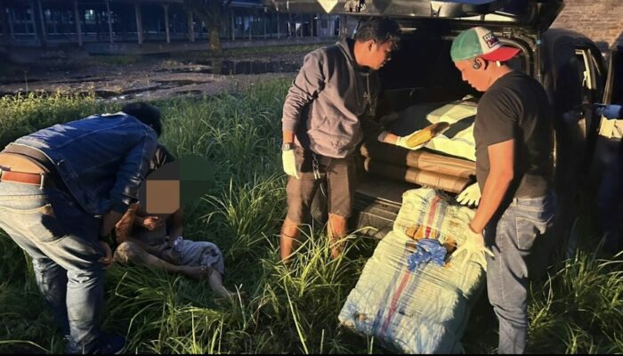 Oknum Polisi Bawa Ganja Ratusan Kilo Ditangkap BNNP