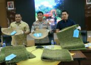 Dua Penambang Emas Ilegal di Solok Ditangkap Polisi