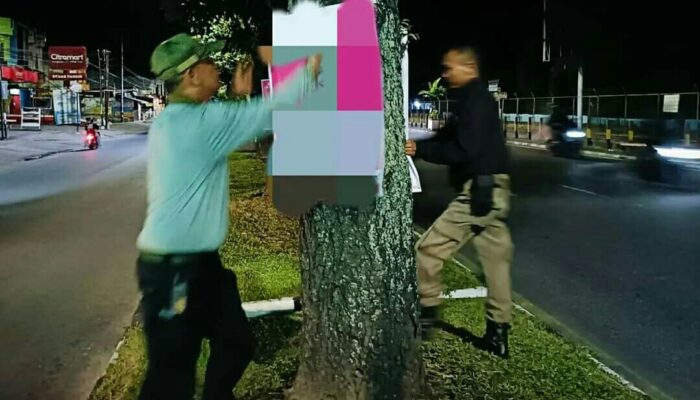 Satpol-PP Padang Copot Iklan dan Poster Caleg di Pohon