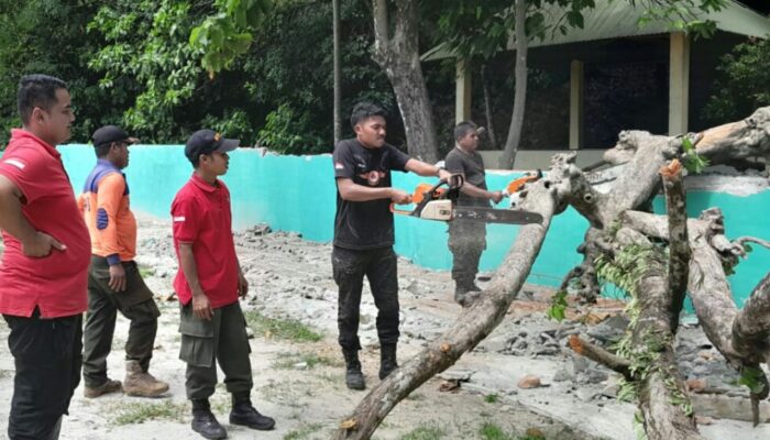 Cuaca Ekstrim, Pohon Tumbang Terjadi di 3 Titik Kota Padang