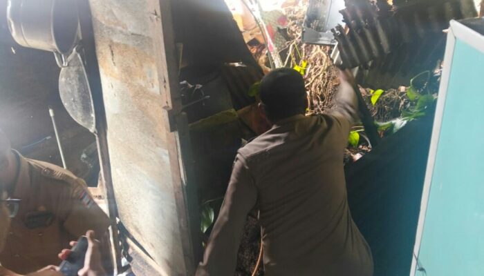 Angin dan Hujan Akibatkan Pohon Tumbang Tanah Longsor di Padang