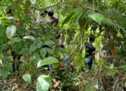 Kasus Gadis Penjual Goreng, Polisi Temukan Barang Bukti Baru