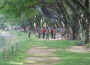 PKL Sepanjang Bibir Muaro Panjalinan di Bongkar Satpol PP