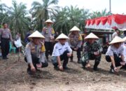 Tanam Jagung, Polres Pasbar Dukung Ketahanan Pangan