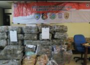 Polda Sumbar Relis Kasus Penyelundupan 270 Kg Ganja