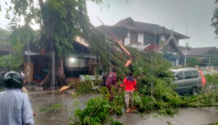 Pohon Tumbang Timpa Mobil Akses Jalan Tertutup