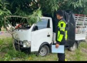 Kecelakaan Mobil Pemburu Babi Tiga Orang Meninggal