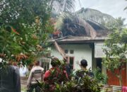Pohon Tumbang di Padang Basi Timpa Rumah Warga