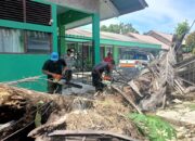 Pohon Tumbang Timpa Pagar Sekolah di Padang