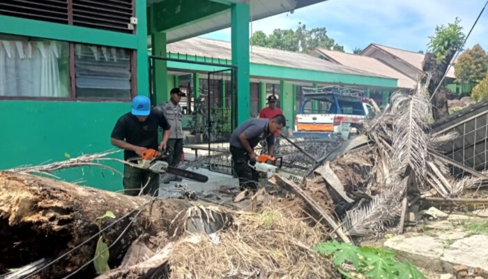 Pohon Tumbang Timpa Pagar Sekolah di Padang