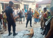 Anjing Liar Masuk Rumah, Gigit Seorang Anak di Padang