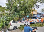 Pohon Tumbang Timpa Mobil dan Kabel Telepon Jalan Terganggu