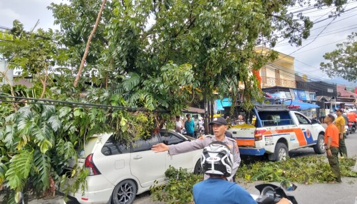 Pohon Tumbang Timpa Mobil dan Kabel Telepon Jalan Terganggu
