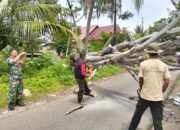 Pohon Tumbang di Lubuk Minturun Tutup Akses Jalan dan Rusak Pagar