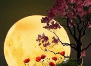 Malam Lailatulqadar: Keutamaan dan Amalan yang Dianjurkan