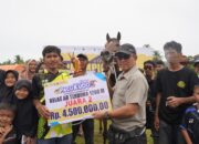 Gubernur dan Danrem 032/Wbr Hadiri Event Pacu Kuda Di Padang Pariaman