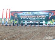 Kementan dan Polri Sinergi Swasembada Jagung Targetkan 4 Juta Ton