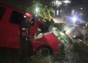 Pohon Tumbang Timpa Mobil dan Pagar Rumah Warga
