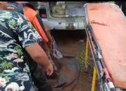 Diduga Kaki Korban Serangan Buaya di Pasbar Ditemukan