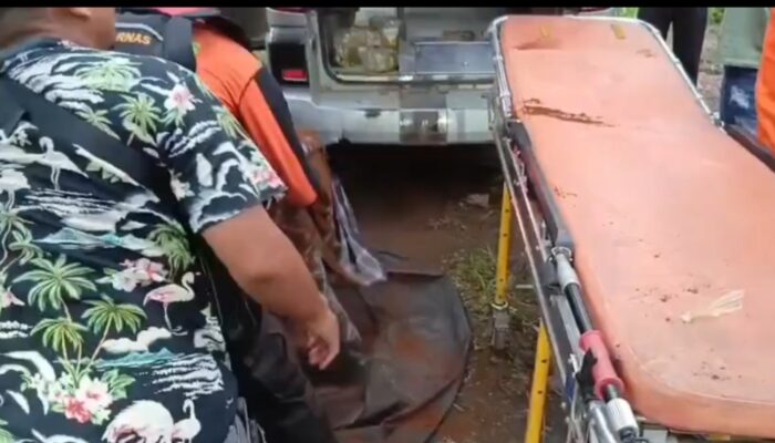 Diduga Kaki Korban Serangan Buaya di Pasbar Ditemukan