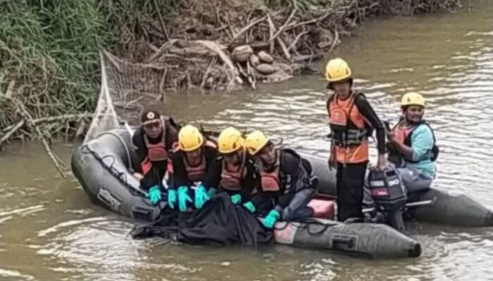 Depi Dilarikan Buaya di Pasbar Ditemukan Meninggal Dunia