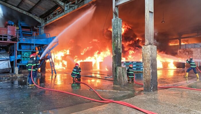 Pabrik Karet di Lubuk Begalung Dilalap Api Asap Tebal Terlihat dari Jauh