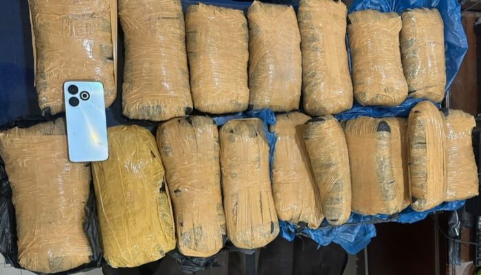 RR Bawa Ganja 17 Paket Besar di Agam Ditangkap Polisi