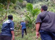 Seorang Buruh Terjepit Pohon Saat Menebang di Gunung Pangilun