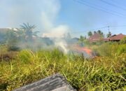Kebakaran Lahan Kosong di Pasang Diduga Akibat Bakar Sampah