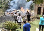 Pria Diduga ODGJ Bakar Rumah Ibunya di Agam