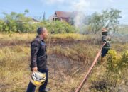 Kebakaran Lahan Ilalang di Parupuk Tabing