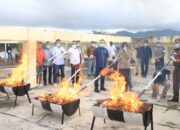 Perang Narkoba, Polda Sumbar Musnahkan 15,9 Kg Ganja