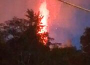 Kebakaran di Kawasan Hutan Lindung di Indarung