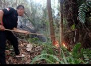 Kebakaran Hutan di Balai Gadang, Sekitar 3 Hektare Terbakar