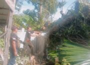 Pohon Tumbang Timpa Rumah Warga di Kampung Pondok