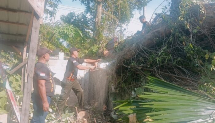 Pohon Tumbang Timpa Rumah Warga di Kampung Pondok