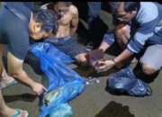 Residivis Kasus Ganja Kembali Diciduk di Pasaman Barat