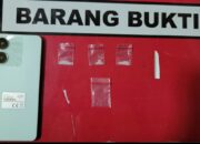 Satresnarkoba Polres Solok Kota Ringkus Pengedar Shabu