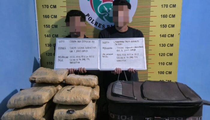 Polres Pasaman Amankan Dua Orang dan 21 Paket Besar Ganja
