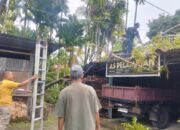 Pohon Tumbang Timpa Rumah Warga di Koto Tangah