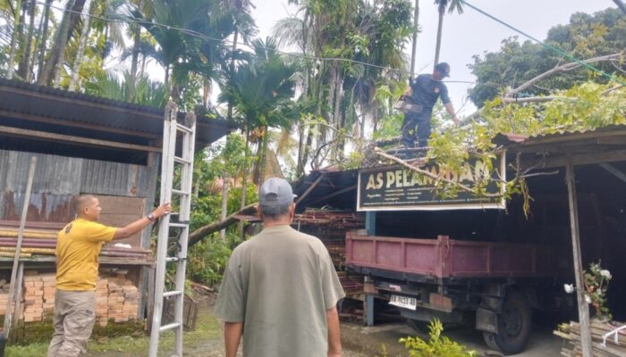 Pohon Tumbang Timpa Rumah Warga di Koto Tangah