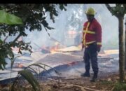 Rumah Kosong Terbakar di Pauh, Kerugian Ditaksir Rp50 Juta