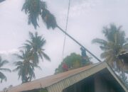 Pohon Tumbang Timpa Rumah Warga di Lubuk Kilangan