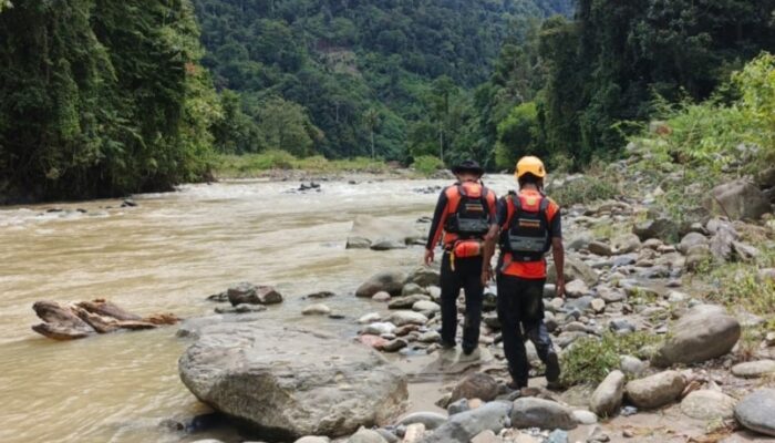 Dua Warga Hanyut di Sungai Batang Pasaman, Tim SAR Lakukan Pencarian