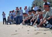 JSTC Tanam 16 Ribu Mangrove dan Lepas Tukik di Pesisir Padang