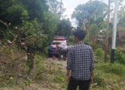 Pohon Tumbang Hambat Akses Jalan di Koto Tangah