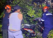 Pohon Kedondong Tumbang Timpa Warung dan 4 Motor
